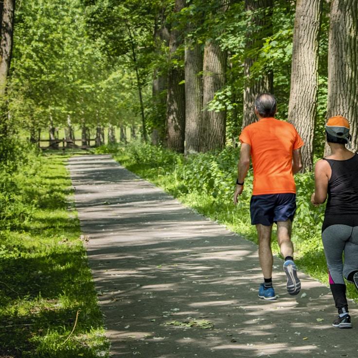 Interior of a professional gym with weight training equipment and mirrors